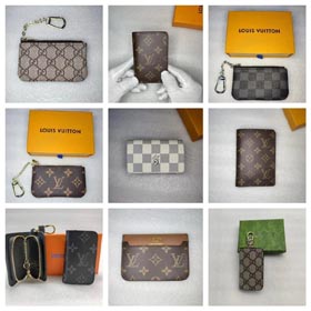 Louis Vuitton/Gucci Card Case